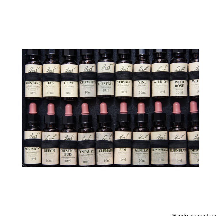 florais de bach, emoções, raiva, tristeza, medo, ansiedade, indecisão