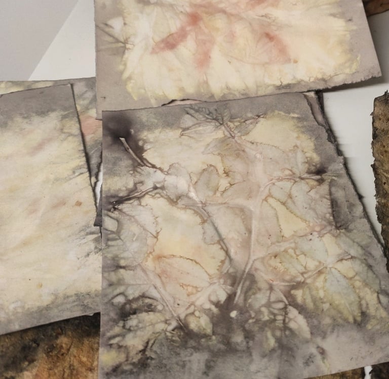 eco printing on paper