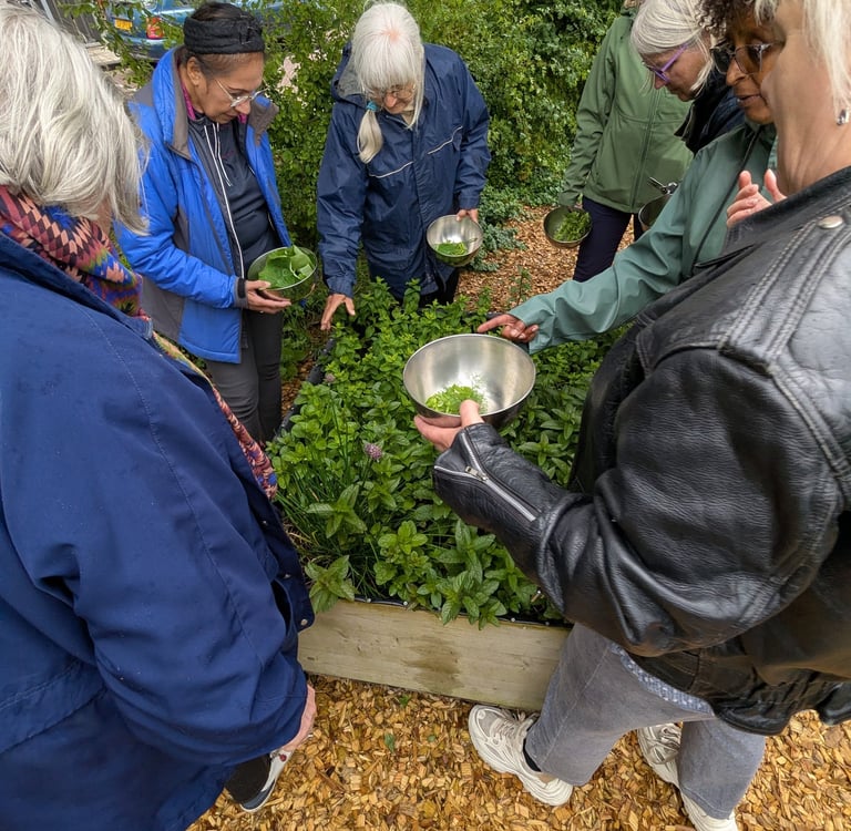 garden activity