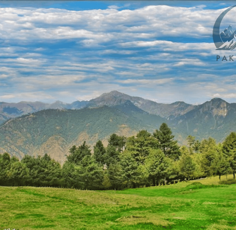 Beautiful green meadow at kaghan valley in summer