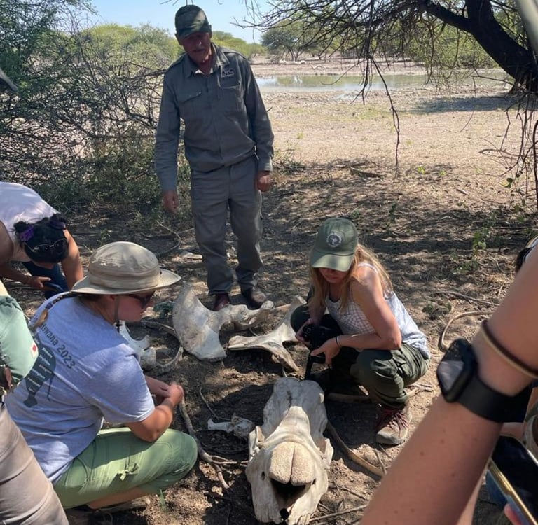 Dr Erik explaining a crime scene approach over a white rhino skeleton