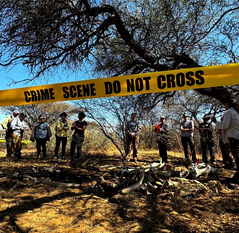 students learning about how to examine a wildlife crime scene