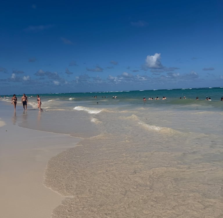 Punta Cana Beach at Bahia Principe Dominican Republic 
