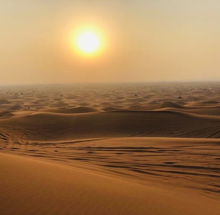 positiv'in coaching de vie psychologie positive objectif changement bonheur résilience