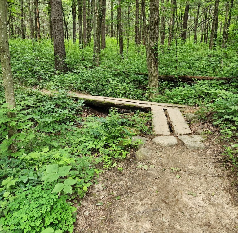 a wooden bridge over a small bridge in the woods