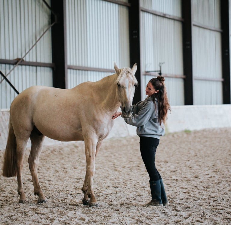 aider cheval anxieux cavaliere