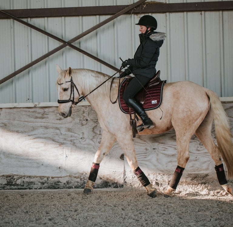 cavalier cheval peur anxiété stress