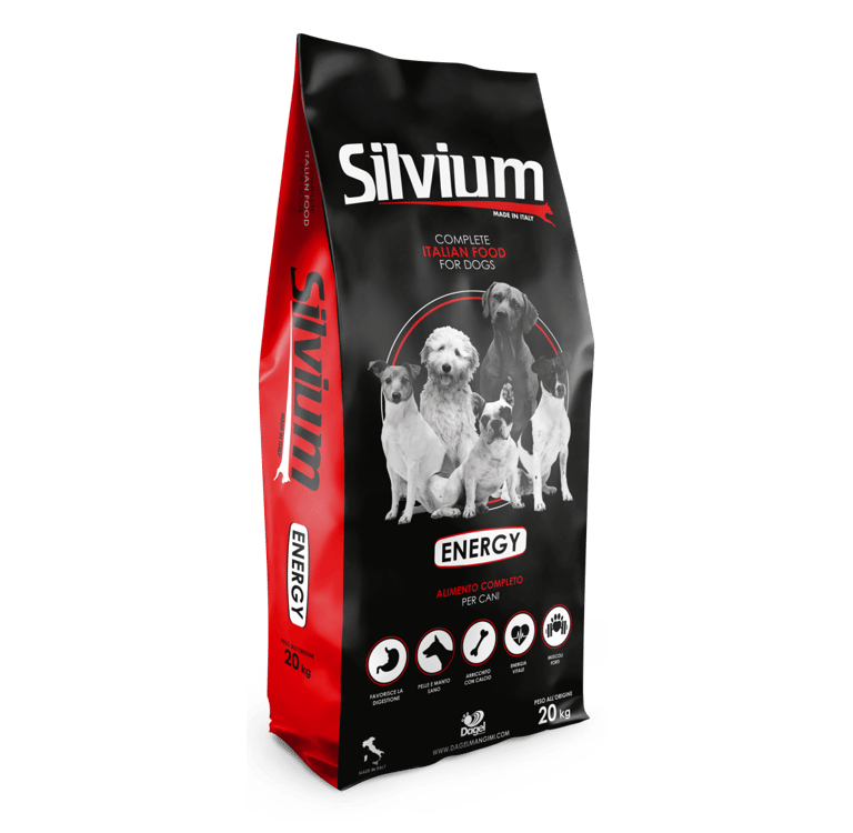 Silvium Energy