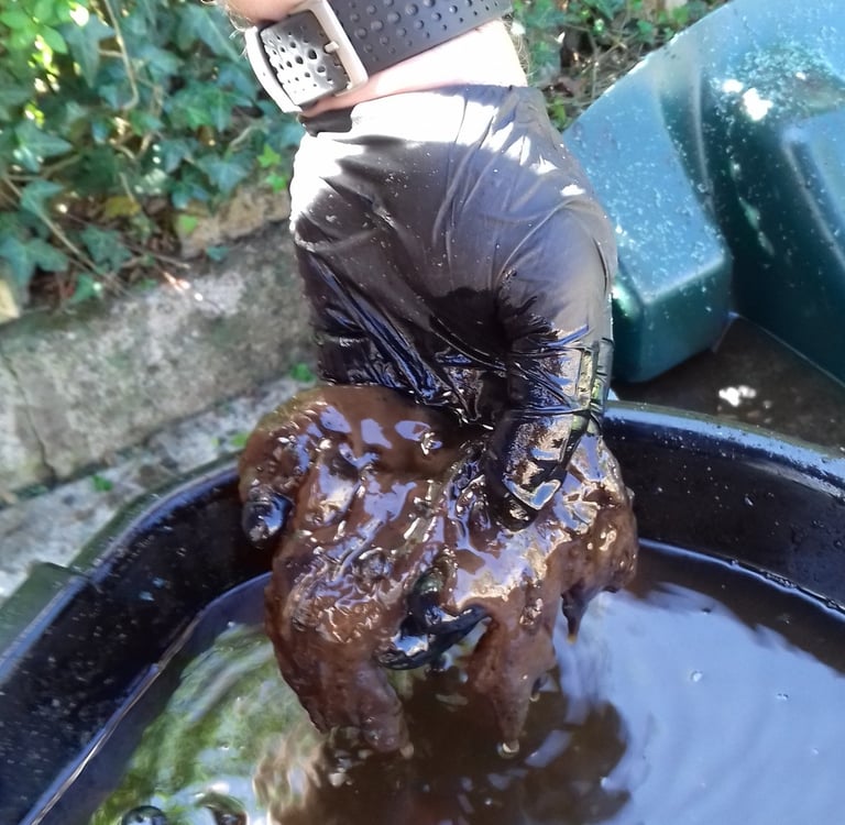 contaminated heating oil fuel Huntshaw near Torrington