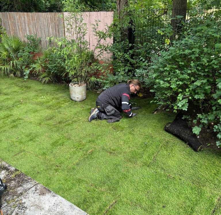 Lawn turfing