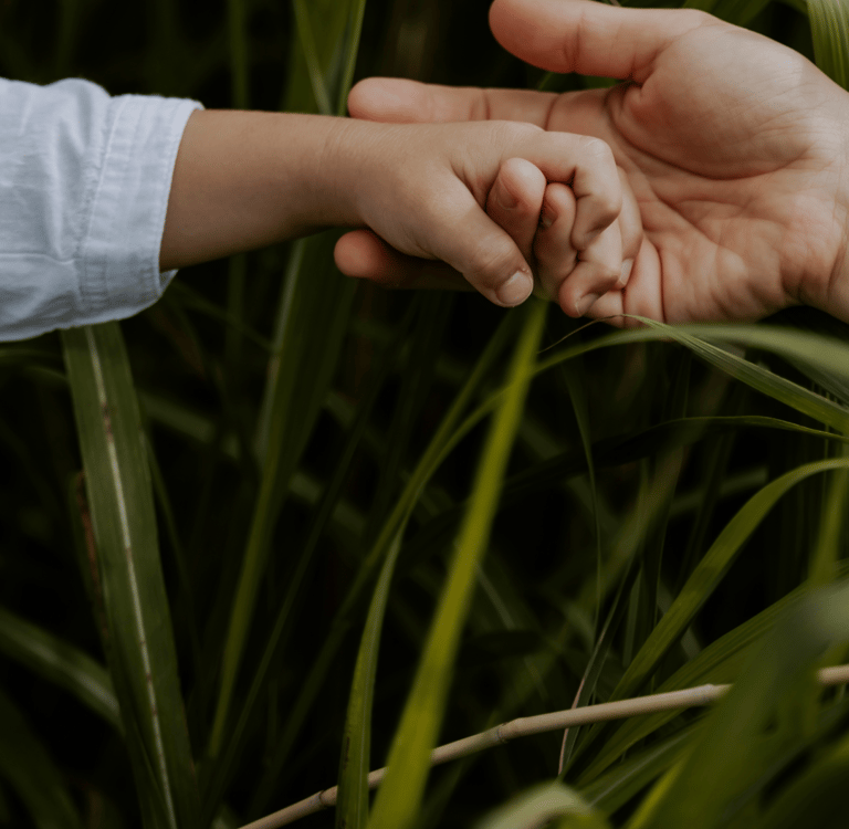A short story of prayers, miracles, and the magical moment when innocence touches the divine.