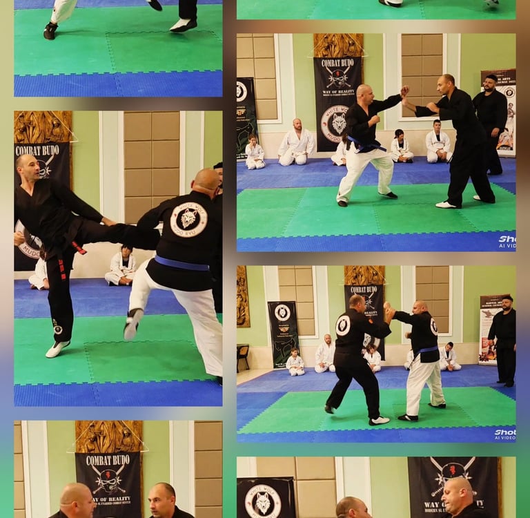 Martial arts practitioners in black uniforms demonstrate combat budo techniques and high kicks on blue and green mats.