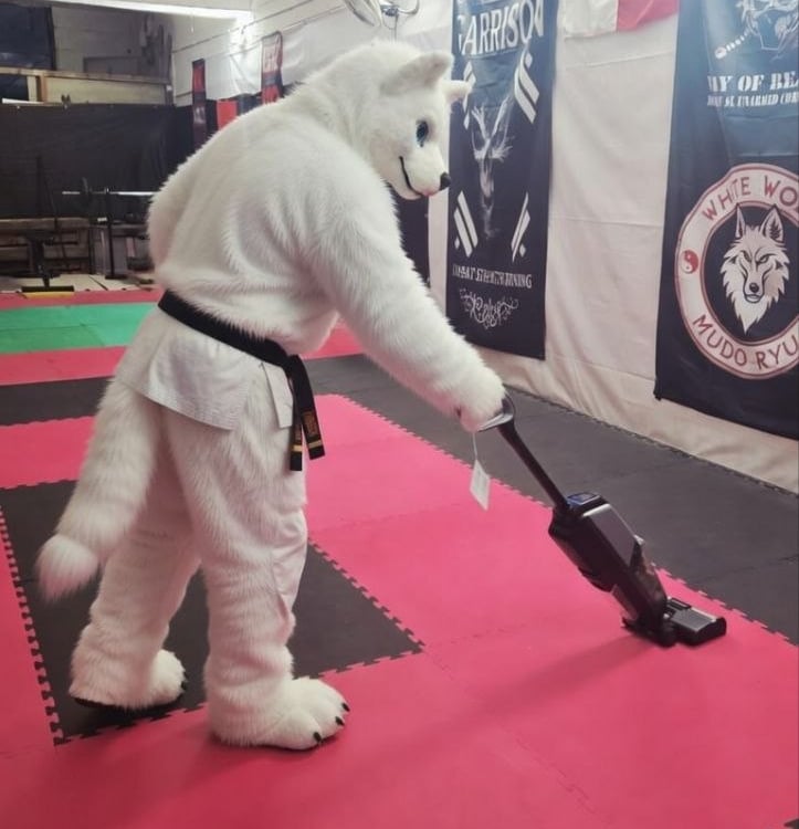 White wolf fursuit wearing a black belt martial arts gi vacuuming red mats in a dojo.