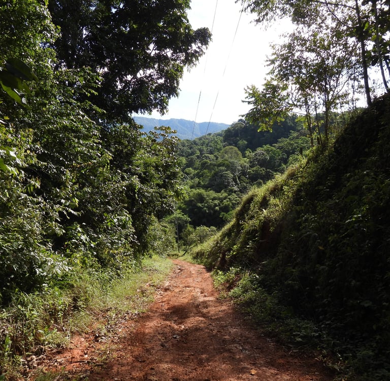 a mountain path in Costa Rica