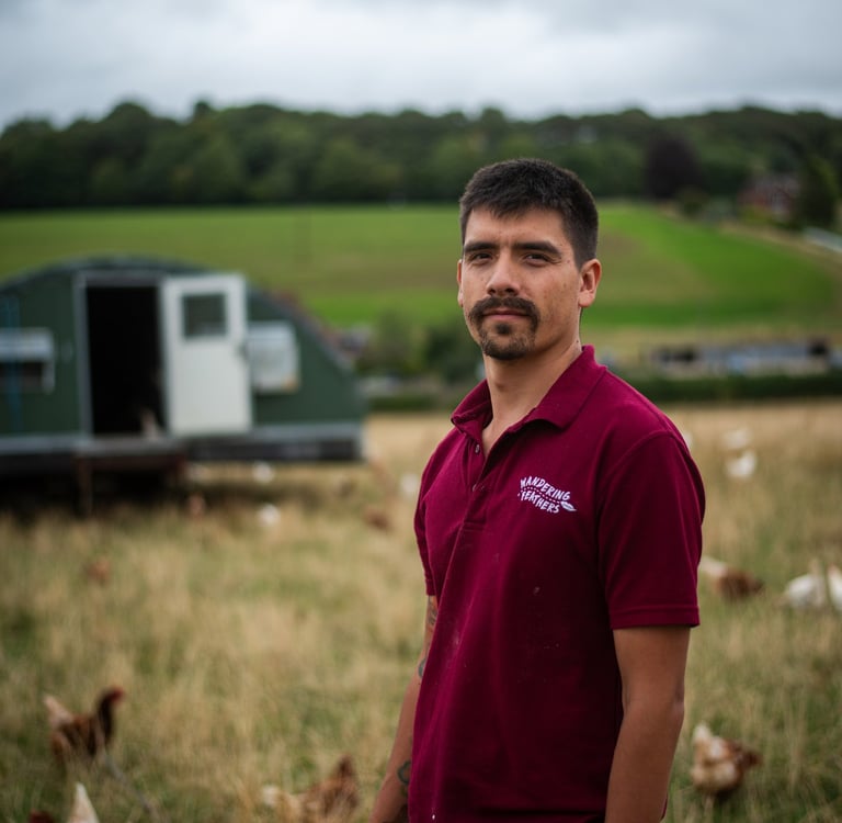 organic chicken farmer Uk Hampshire