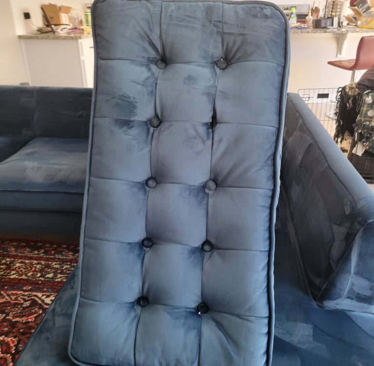 Blue couch cushion just Cleaned by King Organic Clean