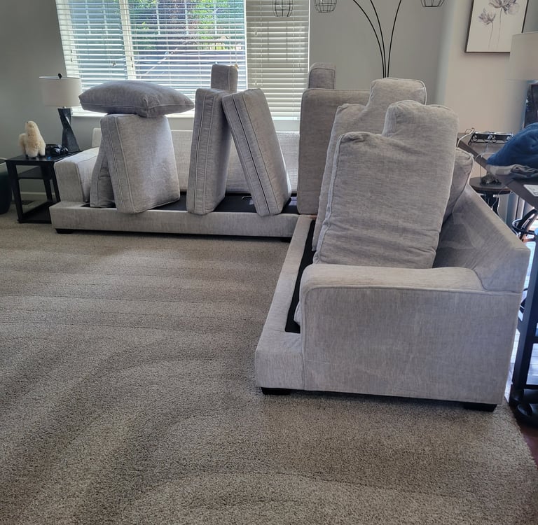Fast Drying, Beautiful Finished results of Couch & Carpet  with king organic clean
