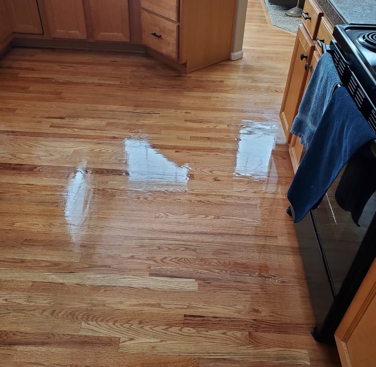 Wood floor just Cleaned and Resealed With King Organic Clean