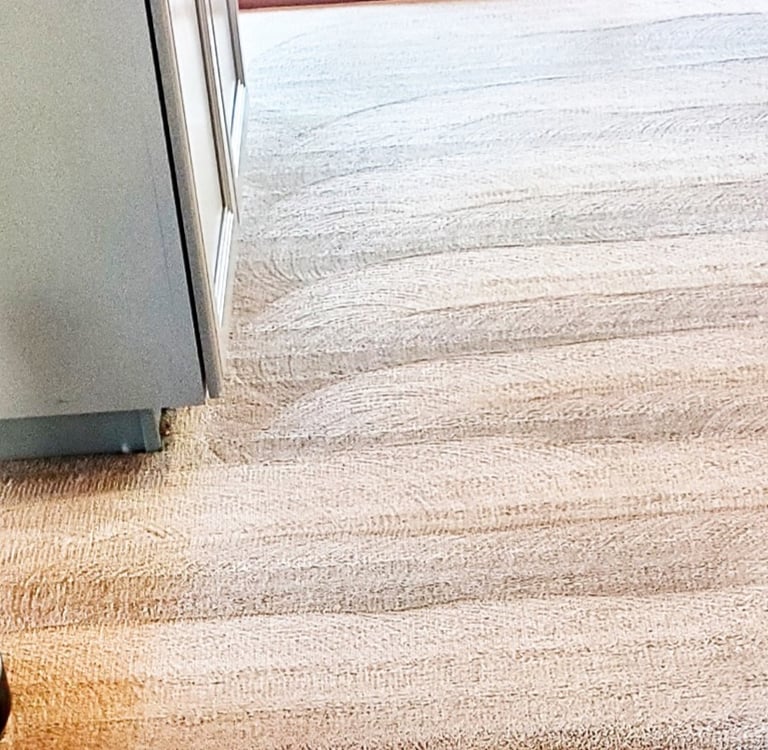 Clean Beige Carpet, Finished Results, with King Organic Clean', Tornado Powerhouse 