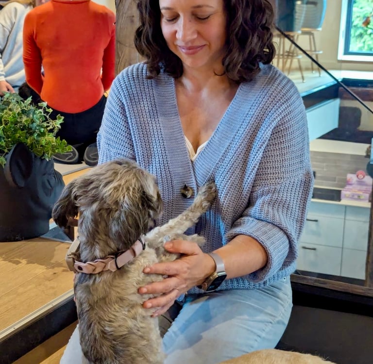 Hundephysiotherapie in Karlstein – Svenja Stoll behandelt einen Hund mit Shiatsu, Massage und Mobilisation