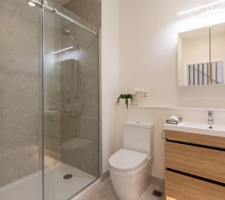 Bathroom Renovation Newtech