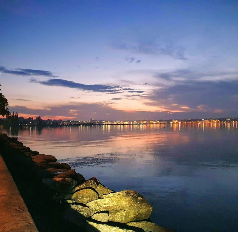 a view of a city skyline at night leman