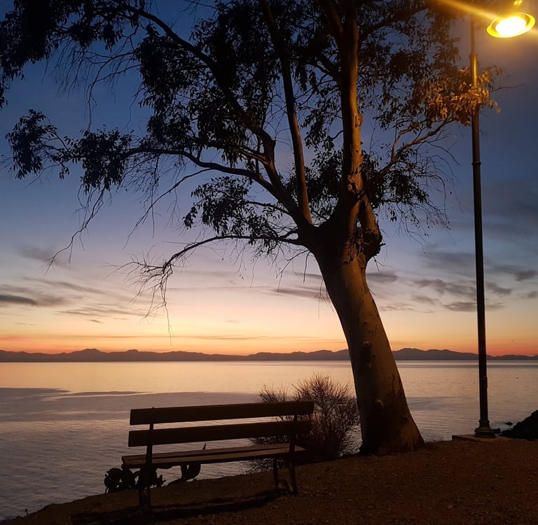 a bench with a bench and a bench in the foreground