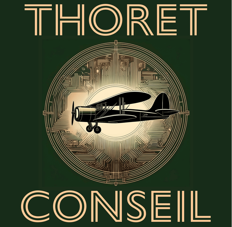 Avion de Thoret Conseil pour Naviguer les Tempêtes du Numérique et du Cyberespace