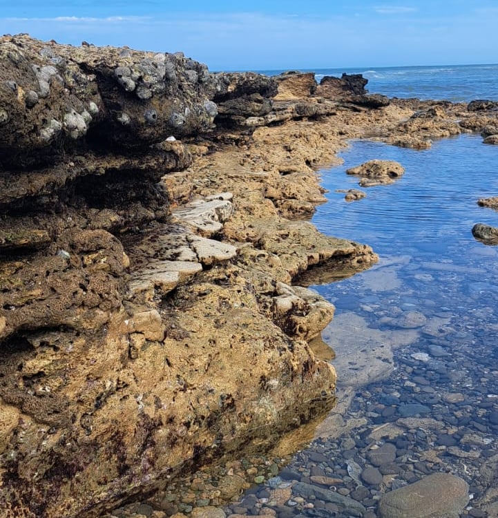 Rocky Reef