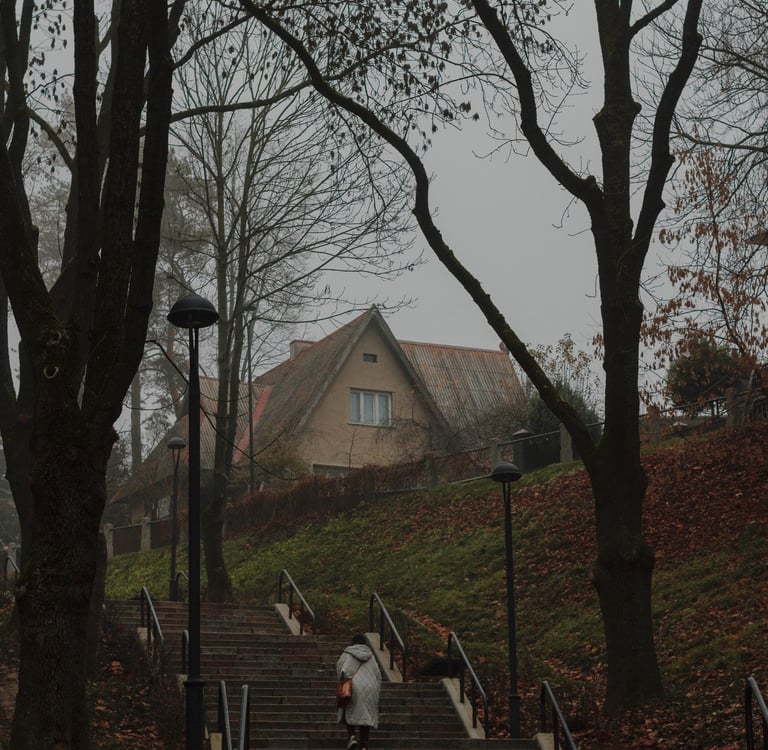 Viktorijos Šaulytės nuotrauka Kauko laiptai Kai Aistis kultūrą statė Giedrė Kaziliūnaitė