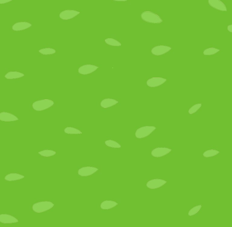Pattern Jideria