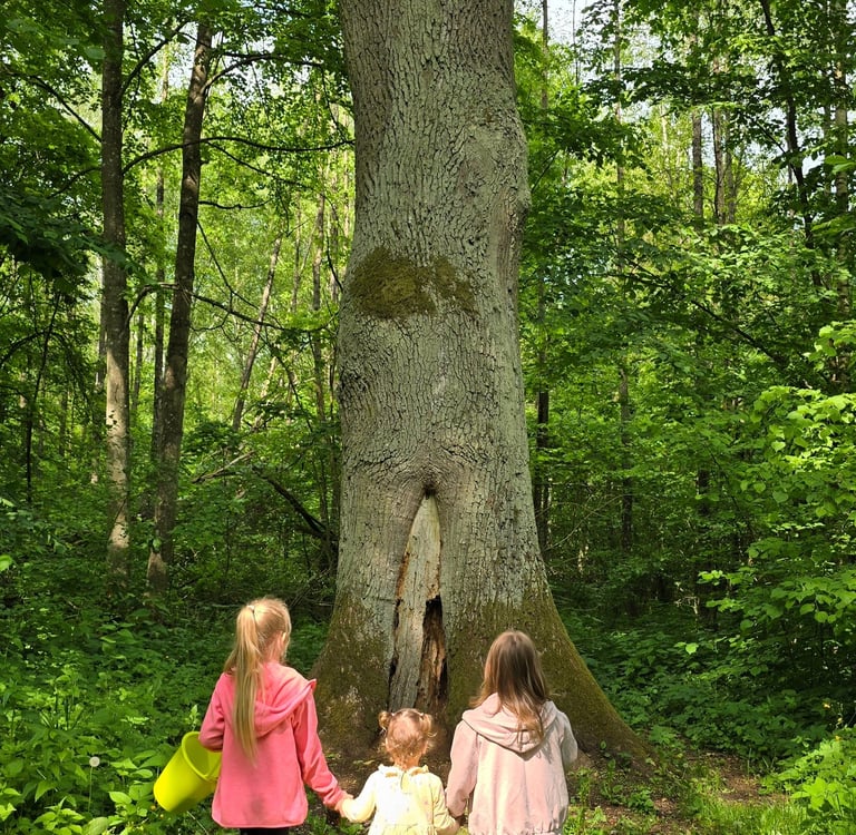 Mergaitės tyrinėja Buktos miškus