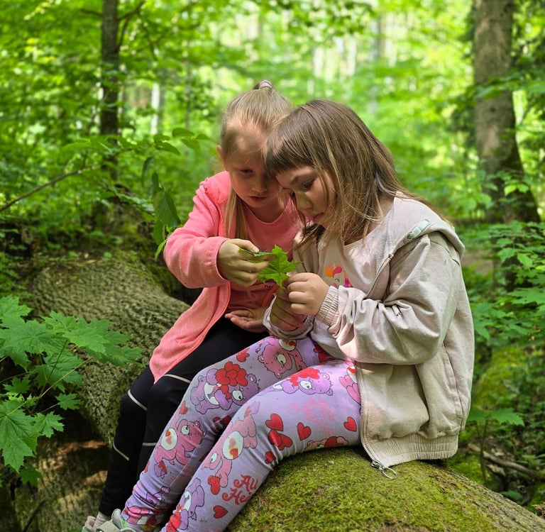 Mergaitės Buktos pažintiniame take