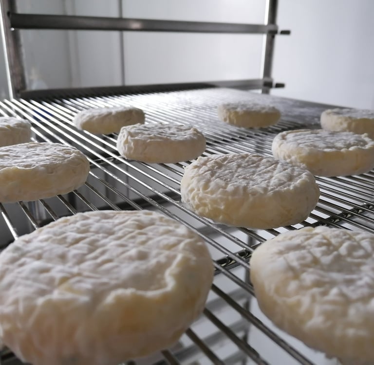 Les fromages de Claire Guiyon, un régale aussi proposer à la petite échelle