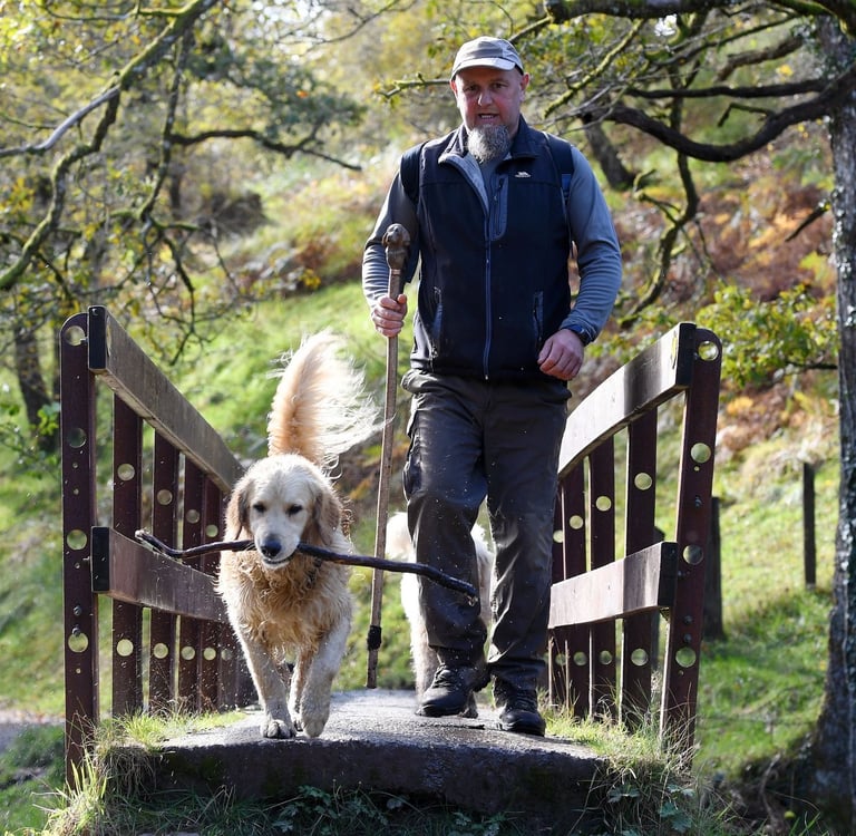 A man hiking with his golden retriever carrying a stick across a wooden bridge in a sunny forest.