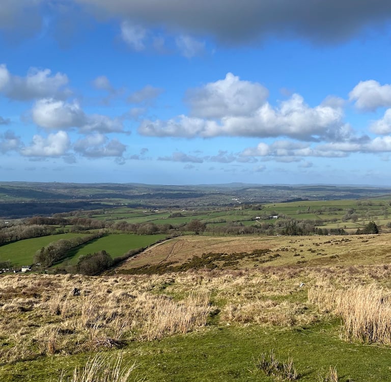 the wild moorland with distant hills behind