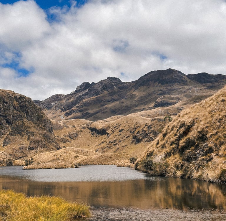 Cajas National Park, Ecuador, South America