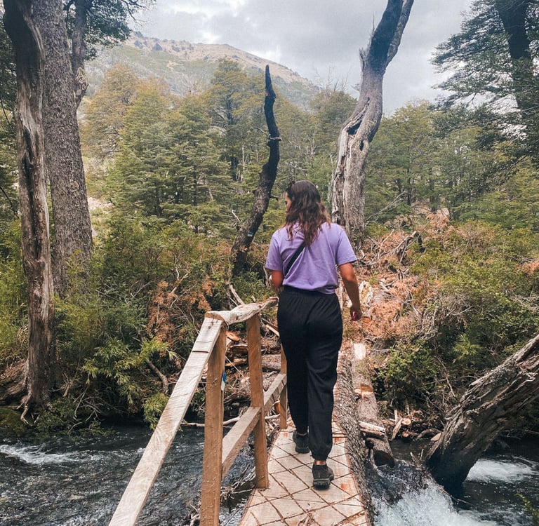 Lanín National Park hike, San Martin de los Andes, Argentina, South America