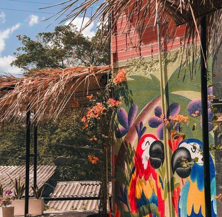 Mural art in the jungle town Minca, Colombia