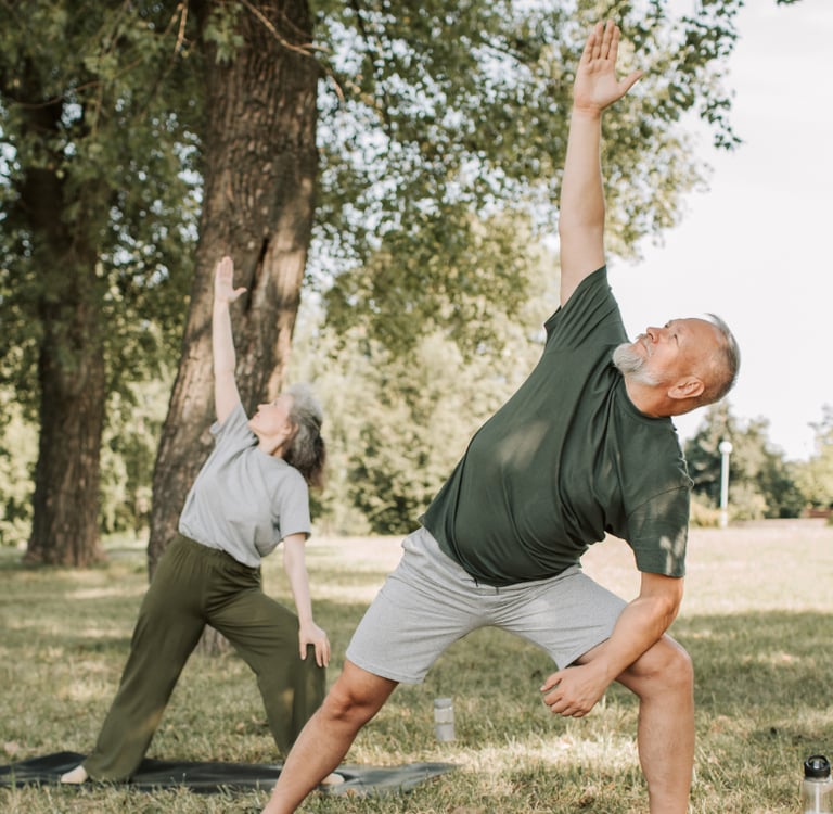 anziani che fanno attività motoria adattata, chinesiologia, senior at the gym