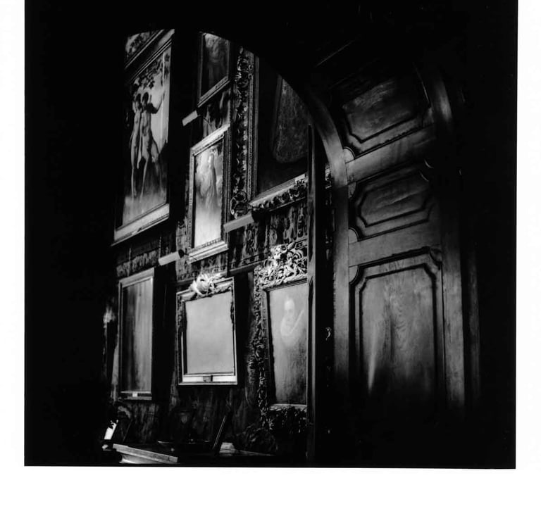 A library in Hatfield House. Fine art analogue photography.  Creator: Slawek Dejneka