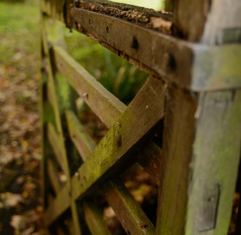 Wooden gate to the churchyard at Duxford. Fine art digital photography. Creator: Slawek Dejneka
