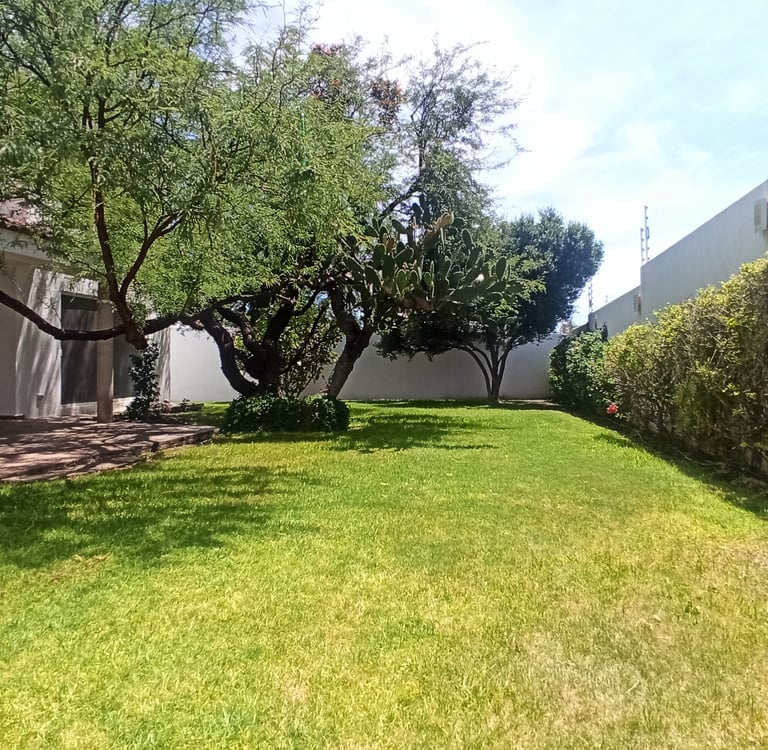 jardin con árboles frondosos y arbustos de casa en juriquilla