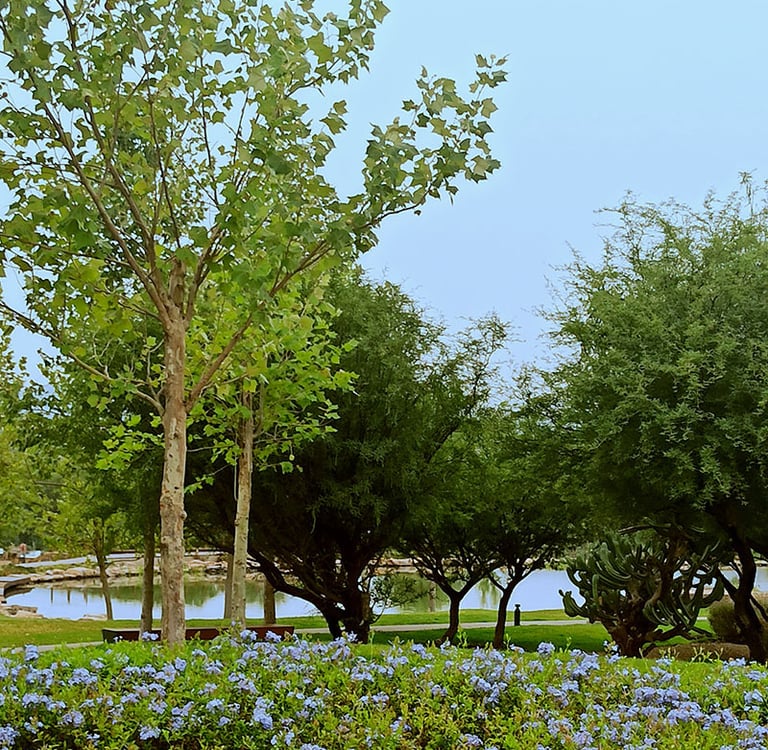 Detalle del área verde y lago en Lago de Juriquilla, Cumbres del Lago