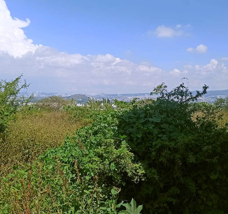 terreno urbano en valle dorado corregidora queretaro