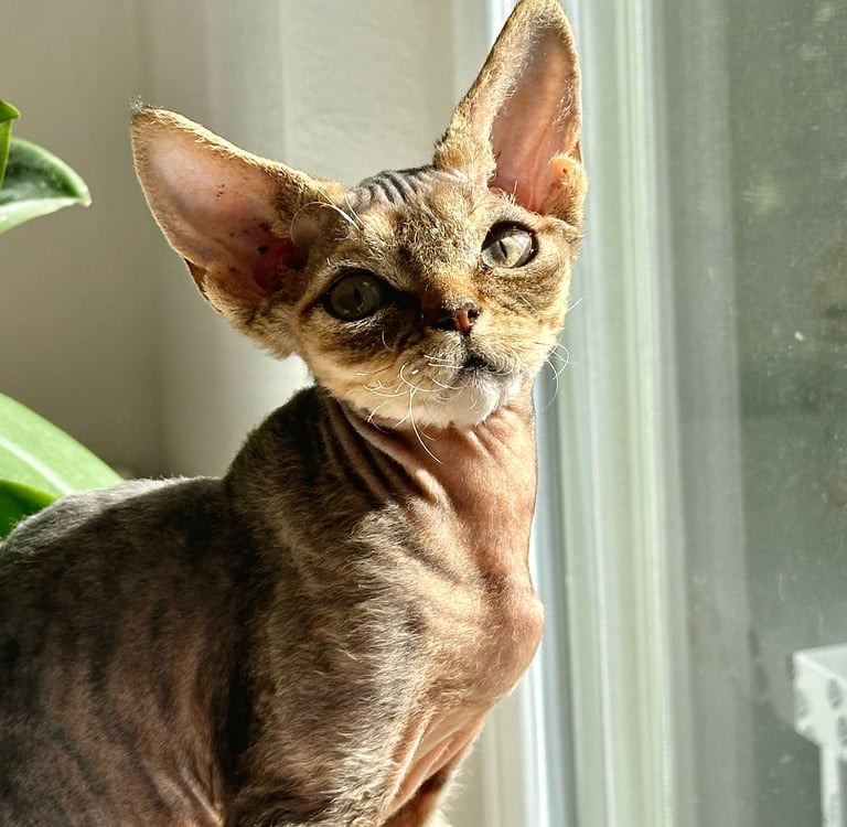 Lyubov sitting on a window sill