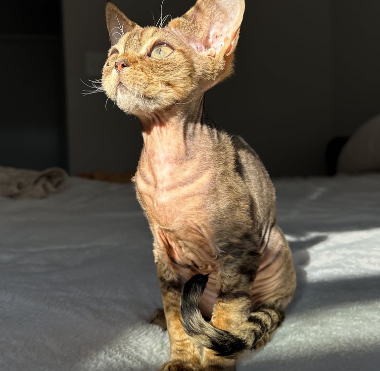 Lyubov sitting on a bed