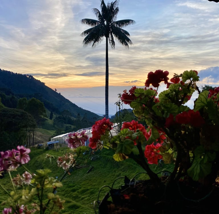 Evaluación del potencial turístico en finca rural