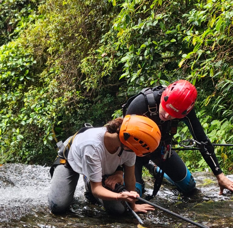 Acompañamiento turístico continuo para fincas rurales