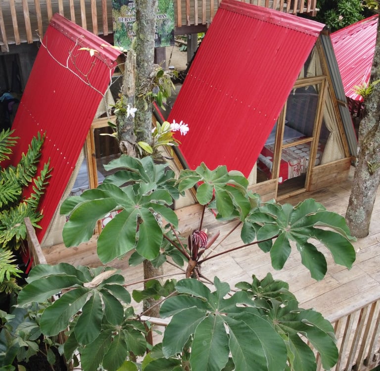 Paquete turístico naturaleza Tolima